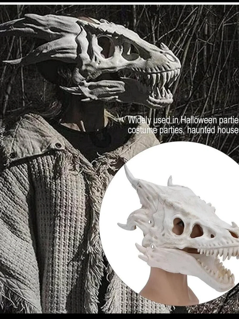 N/A realistic dragon